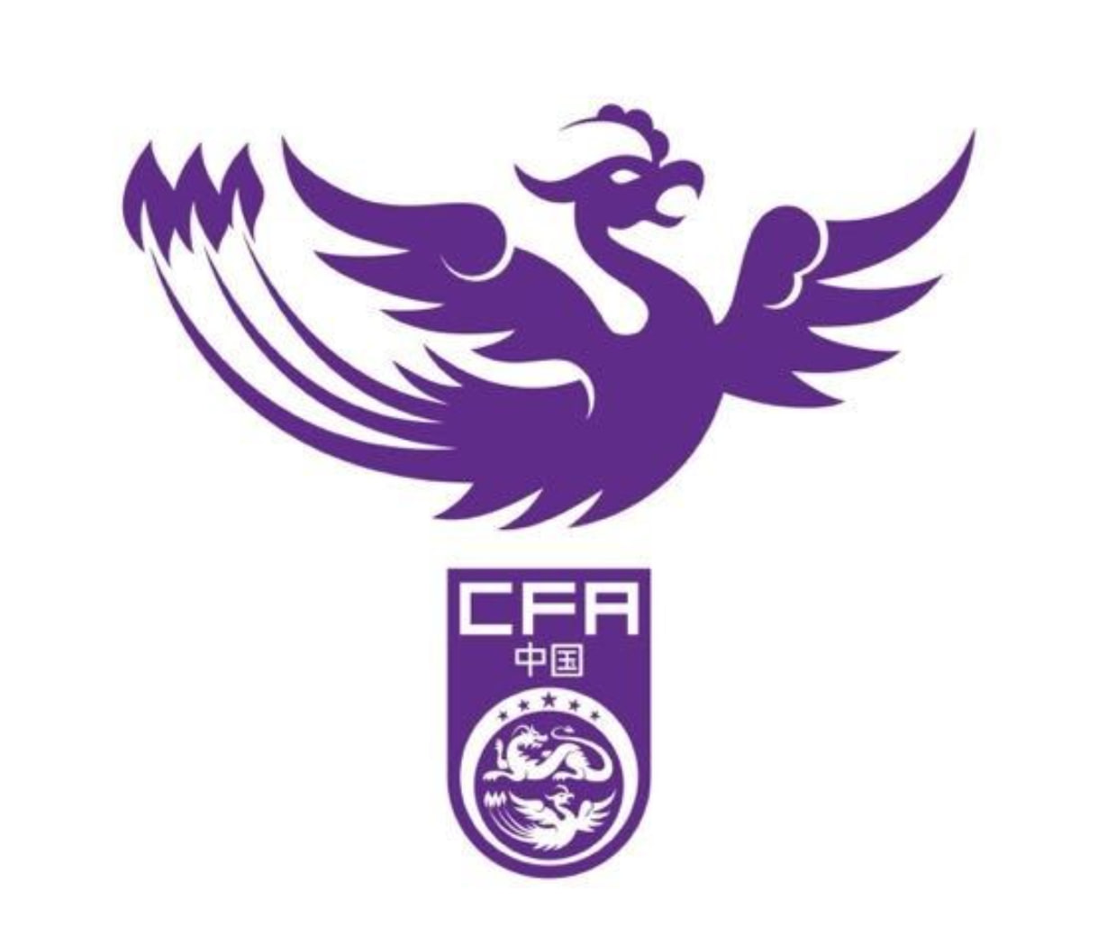 备战东亚足联U15锦标赛：U15女足集训名单曝光 江苏代表最强